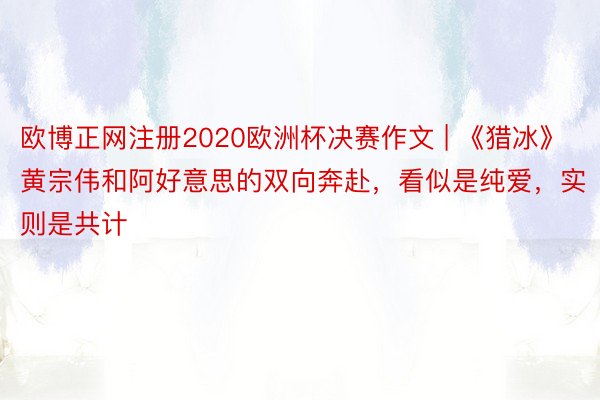 欧博正网注册2020欧洲杯决赛作文 | 《猎冰》黄宗伟和阿好意思的双向奔赴，看似是纯爱，实则是共计