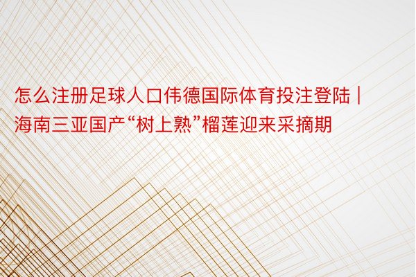 怎么注册足球人口伟德国际体育投注登陆 | 海南三亚国产“树上熟”榴莲迎来采摘期