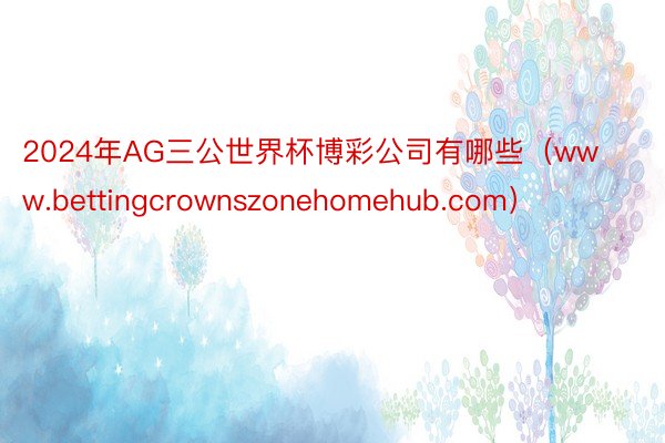 2024年AG三公世界杯博彩公司有哪些（www.bettingcrownszonehomehub.com）