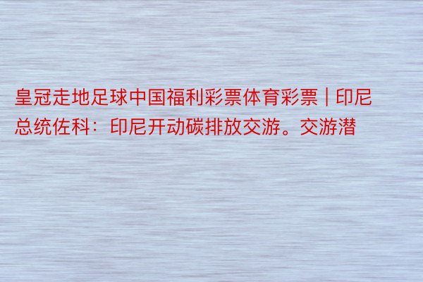 皇冠走地足球中国福利彩票体育彩票 | 印尼总统佐科：印尼开动碳排放交游。交游潜